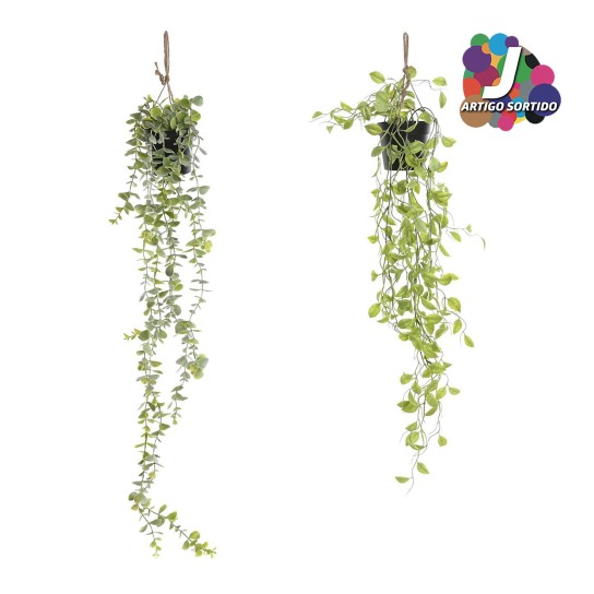 Planta JOM JA-218544 - Image product