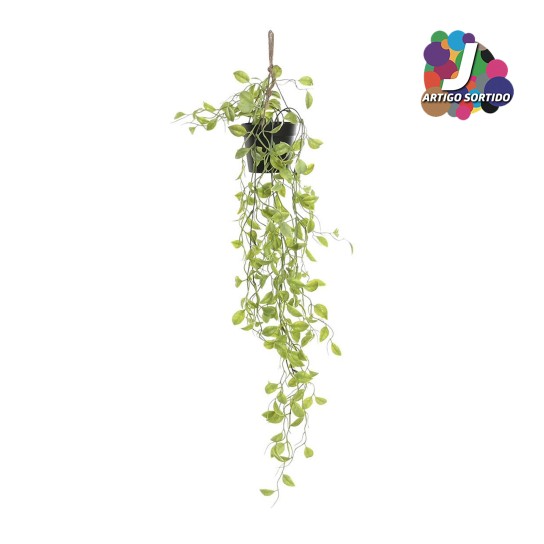 Planta JOM JA-218544 - Image product