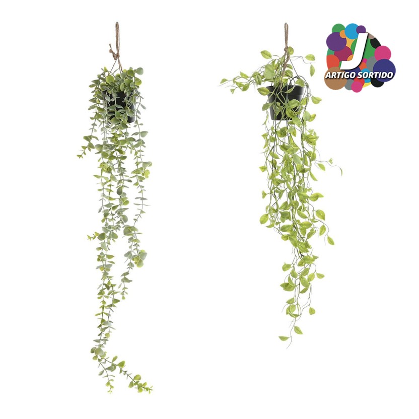 Planta JOM JA-218544