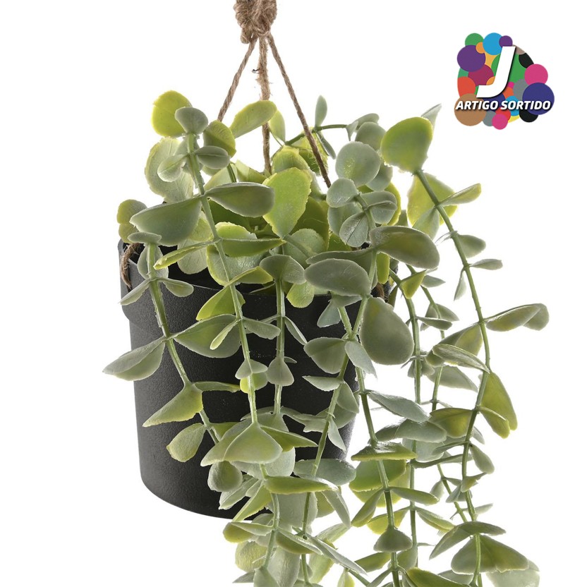 Planta JOM JA-218544