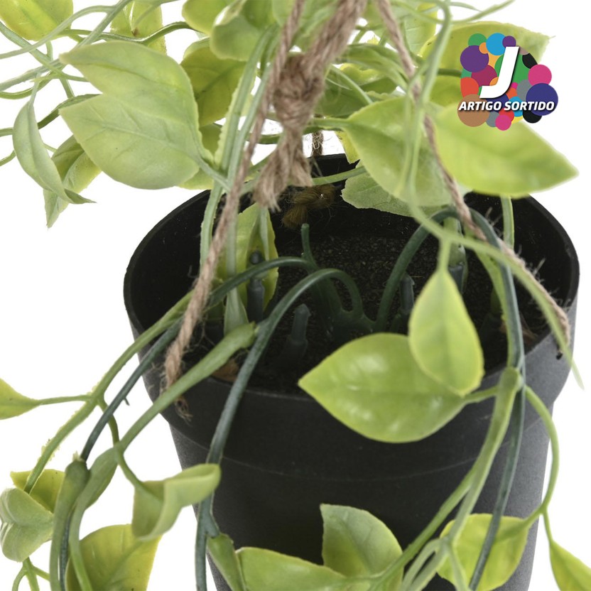 Planta JOM JA-218544