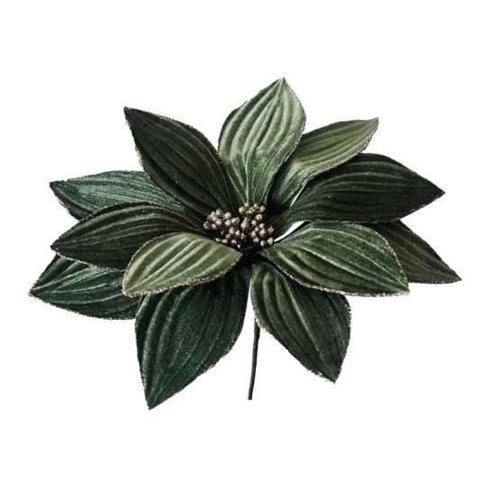 Pick Poinsetia JOM 51-EL-11720 - Image product