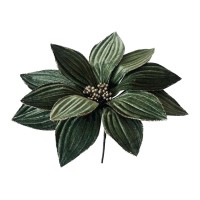 Pick Poinsetia JOM 51-EL-11720