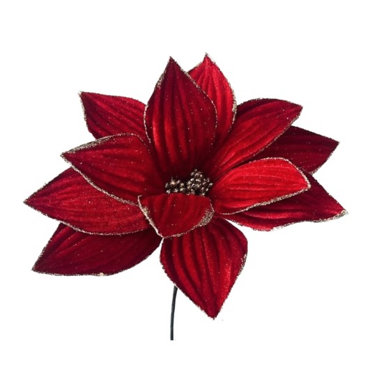 Pick Poinsetia JOM 51-EL-11760 - Image product