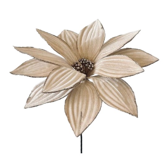 Pick Poinsetia JOM 51-EL-11775 - Image product