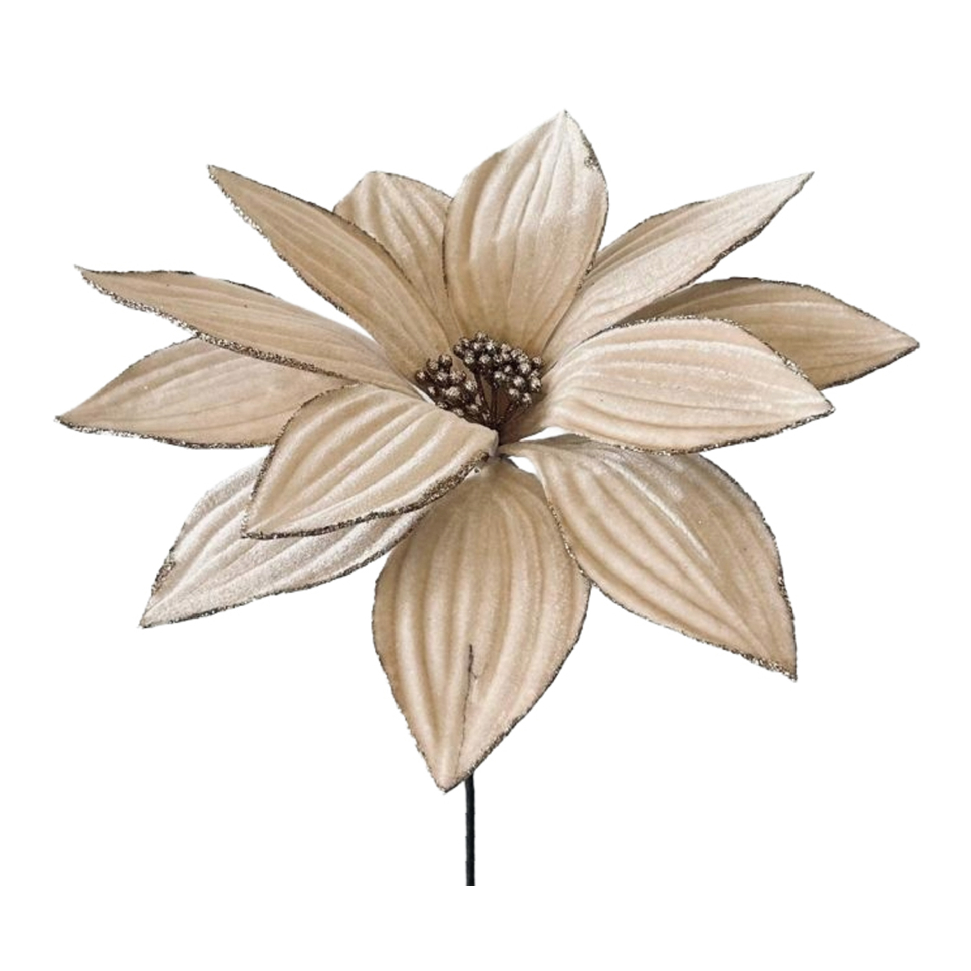 Pick Poinsetia JOM 51-EL-11775