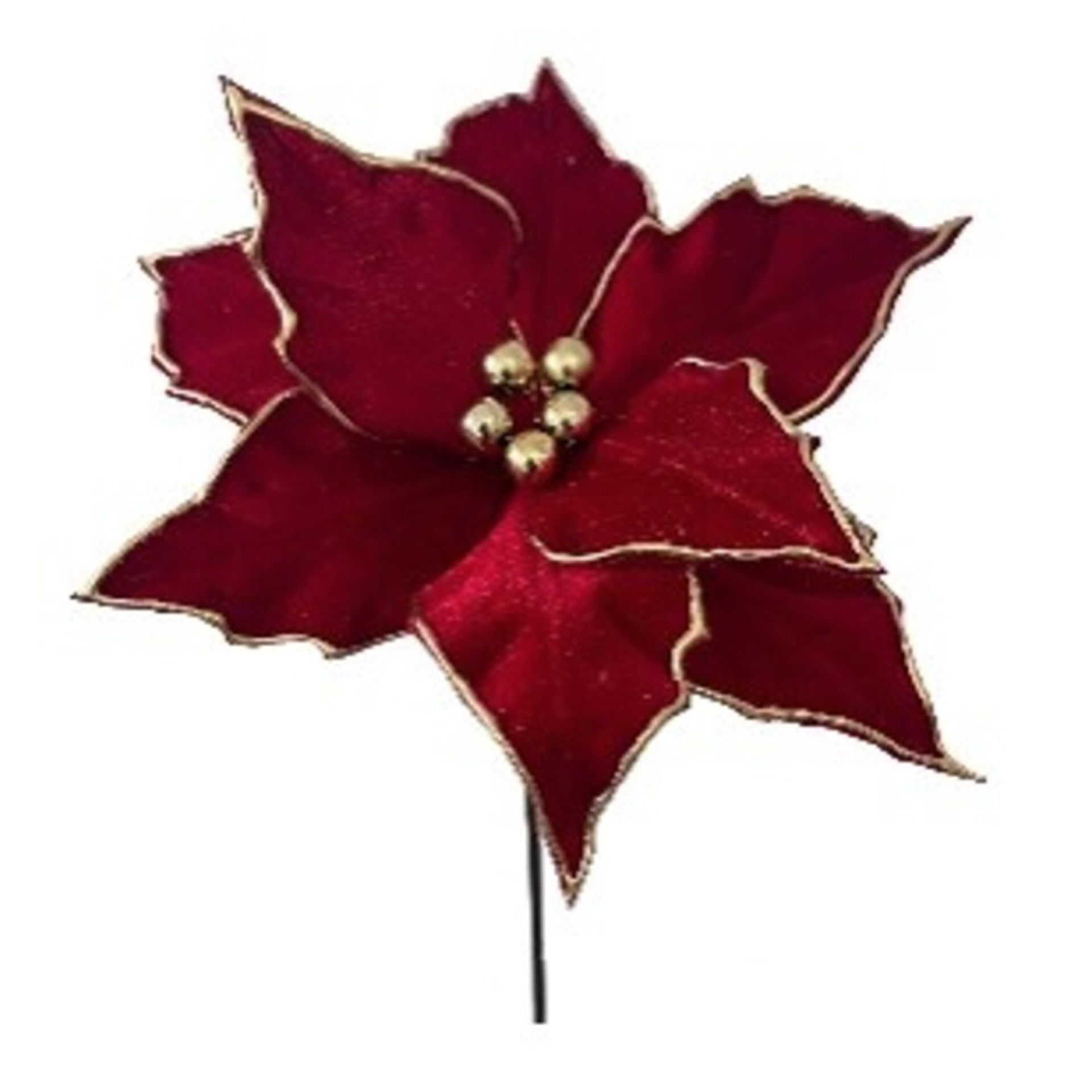 Pick Poinsetia JOM 54-EL-1660