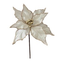 Pick Poinsetia JOM 54-EL-1675
