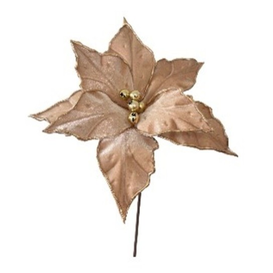 Pick Poinsetia JOM 54-EL-1689 - Image product