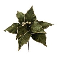 Pick Poinsetia JOM 54-EL-1620