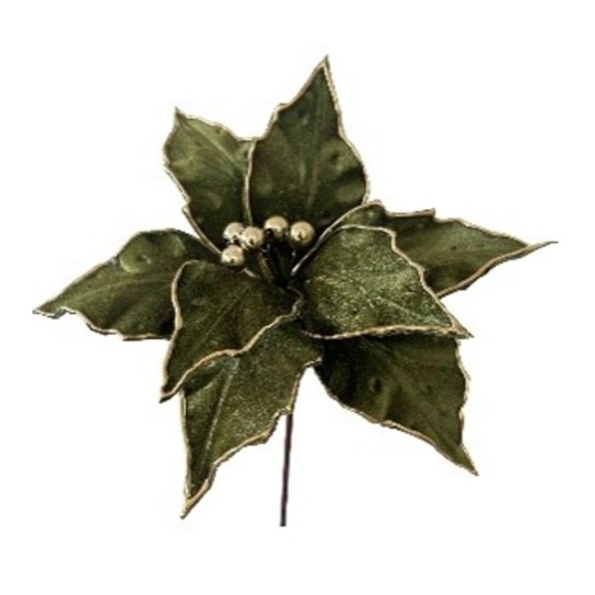 Pick Poinsetia JOM 54-EL-1620 - Image product