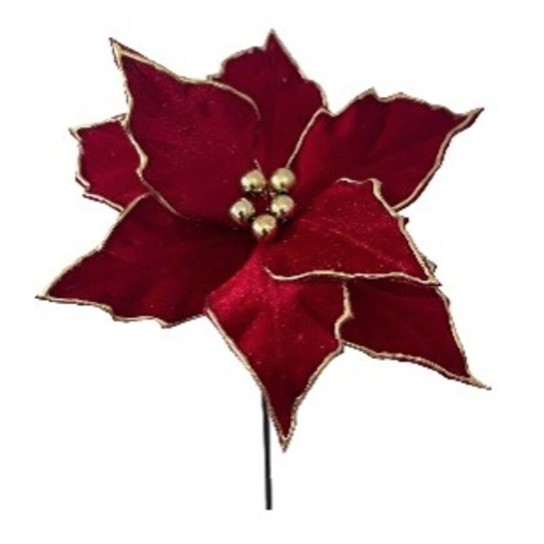 Pick Poinsetia JOM 54-EL-1660 - Image product